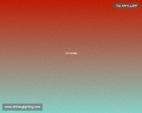 2021年3月火箭 2021年3月火箭