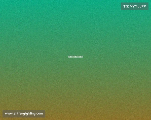 拳击赛事儿、拳击赛事视频