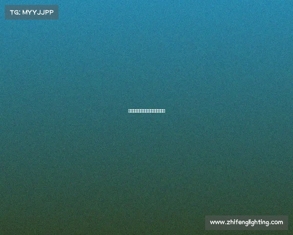 没有灵魂的电子竞技小说在线阅读